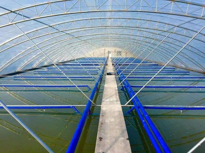 頭部烤魚品牌攜手水產(chǎn)巨頭，共筑“活魚現(xiàn)烤”行業(yè)新標桿