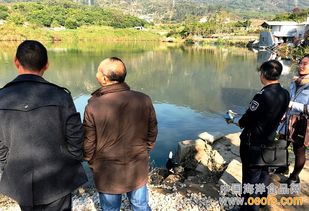廈門集美雙嶺村養殖場迎節前“安全體檢”，筑牢水產品安全防線