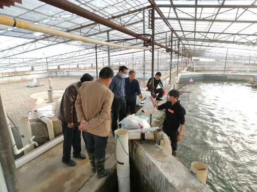 九江水產 產得出、運得走、不積壓、不賣難，力促產業平穩有序發展